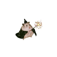 完売♡