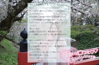 【お礼写メ日記】10しちゃん様♡