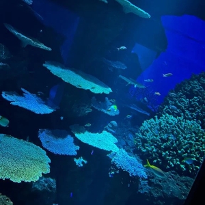 なんて素敵な世界だ これ以上何を望む🎶