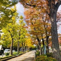 X凍結してなかった！