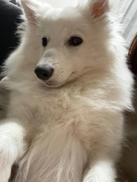 お知らせ⋆͛📢⋆