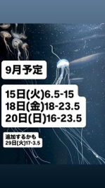 9月予定