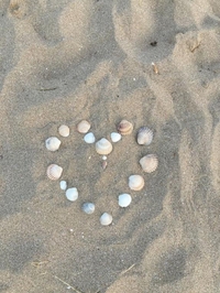 明日います❣️