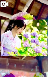 【🎥213】夏のお祭りの匂い