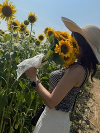 ひまわり🌻の寿命🙄🙄
