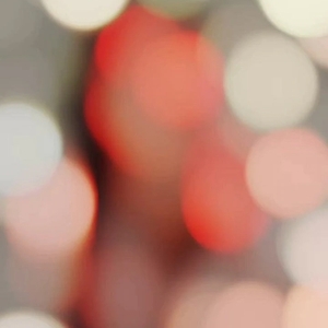 【🎥855】〇〇な日