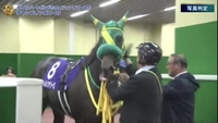 スイキス競馬好きの予想は...