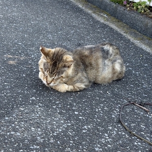 あしたは♡