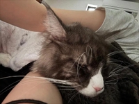 🩶2025の思い出を🩶