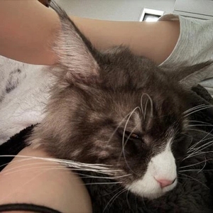 🩶2025の思い出を🩶