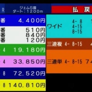 ネネちゃんの直感は...