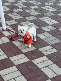 休日って感じでした🥰💕