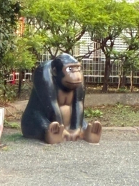 😂実はよく笑います😂