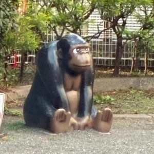 😂実はよく笑います😂