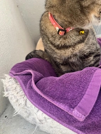 今日もありがとう💕