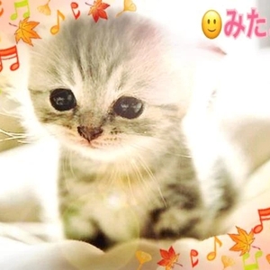 みたよ(*ˊ˘ˋ*)♡