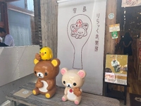 おやすみだよ~(  ⌯₄⌯) ᐝ🛌