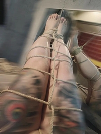 ✨日本の美、亀甲縛りの瞬間🪢✨