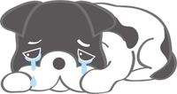 ごめんなさい🙇🏻‍♀️