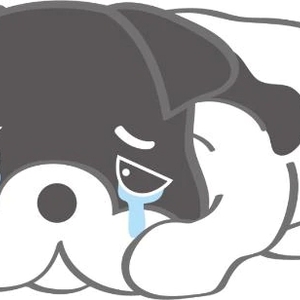 ごめんなさい🙇🏻‍♀️