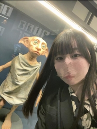 ひゅるるるるる🍃