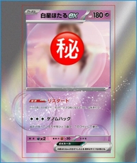 🩷限定100名様です🩷