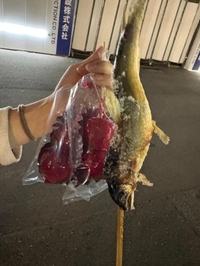 念願鮎の塩焼き♡♡