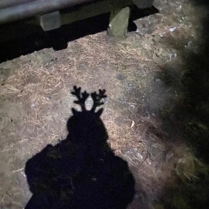 スケジュール🗓