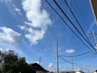 よっしゃ‼️