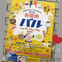 ジカイハキンヨウビィ