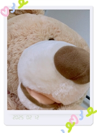 こんにちは\(˙꒳˙ )/