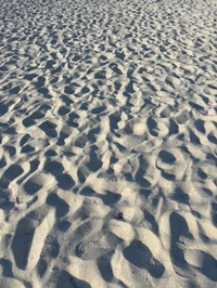 和歌山旅行😍☀️