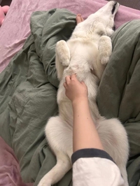 ごめんなさい🙇‍♀️🙇‍♀️