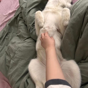 ごめんなさい🙇‍♀️🙇‍♀️
