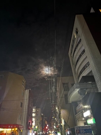 朝一だぁれ👶🏻