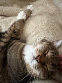 おはようございます😊