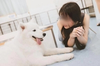 企み♡ / 予約状況