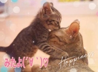 みたよ(*ˊ˘ˋ*)♡