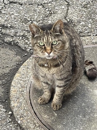 みたよ／シフト