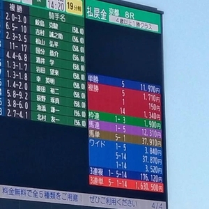 私が○○○○するとさ