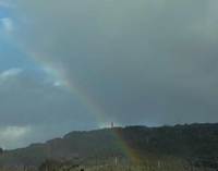 幸のお裾分け🩷