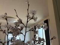 楽しみだなぁ♡