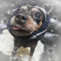 向かってます♥️