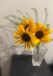 世界で一つだけの花