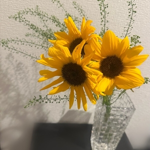 世界で一つだけの花