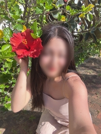 ハイビスカスどーん