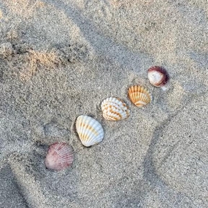 ありがとう💘