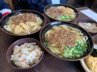 博多うどん☺️