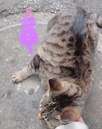 みたよ／シフト