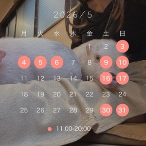 5月?